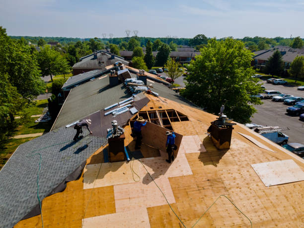 Best Roof Maintenance Services  in Pasadena Hills, MO