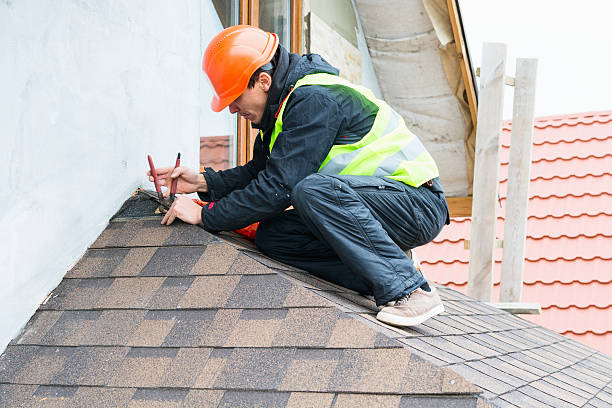 Best Roof Gutter Cleaning  in Pasadena Hills, MO